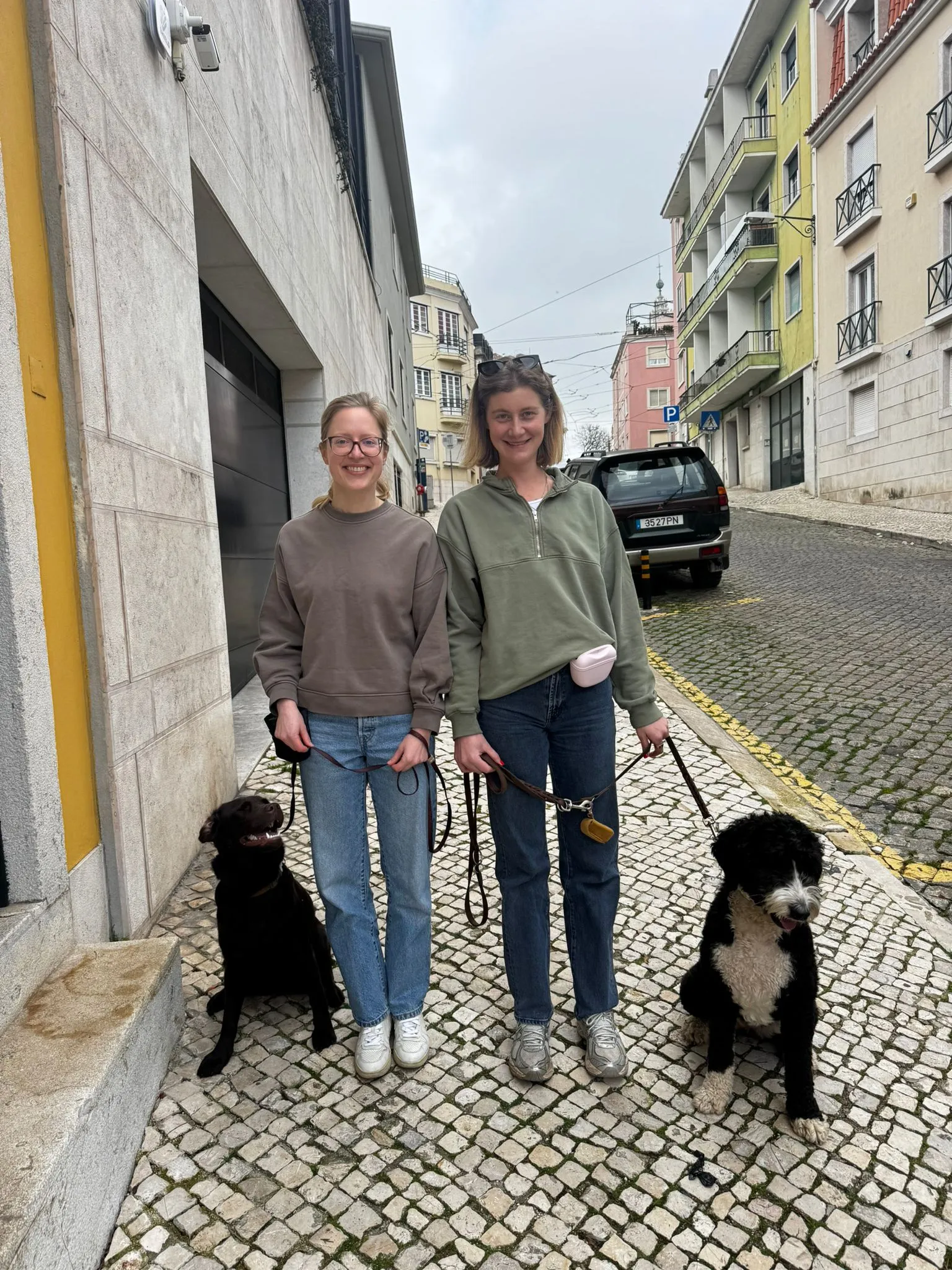 Trabalho com Cães